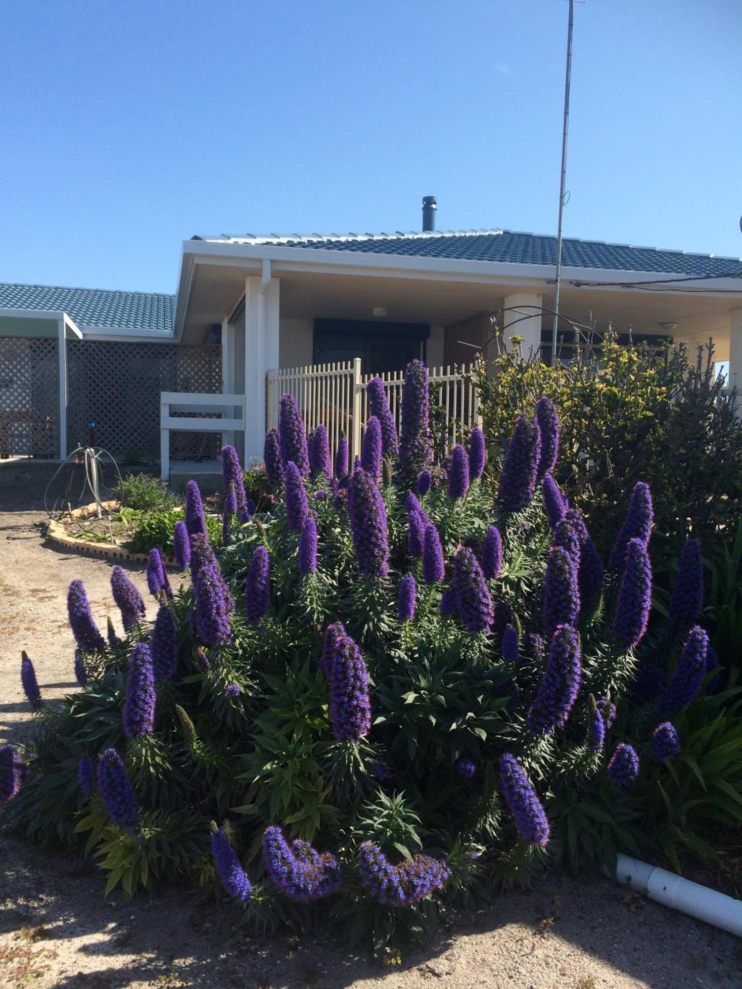 Salty Air Apartments Kingscote Kangaroo Island المظهر الخارجي الصورة